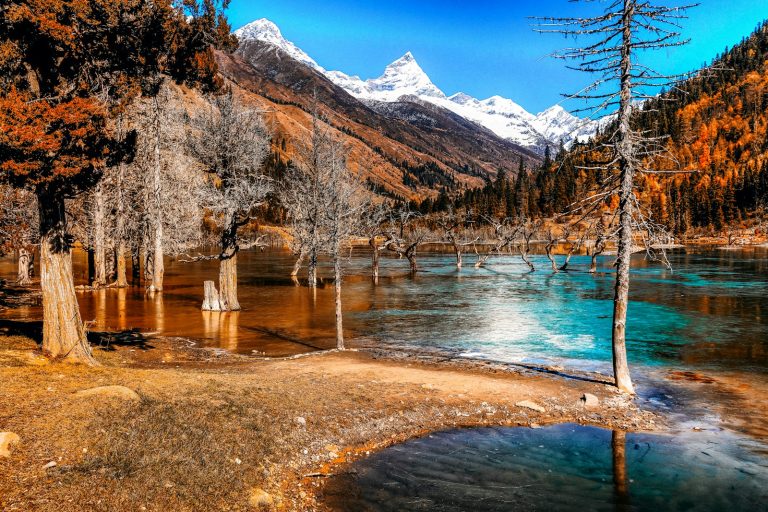 Wander Wisely: Budget Travel Tips for First-Time Explorers